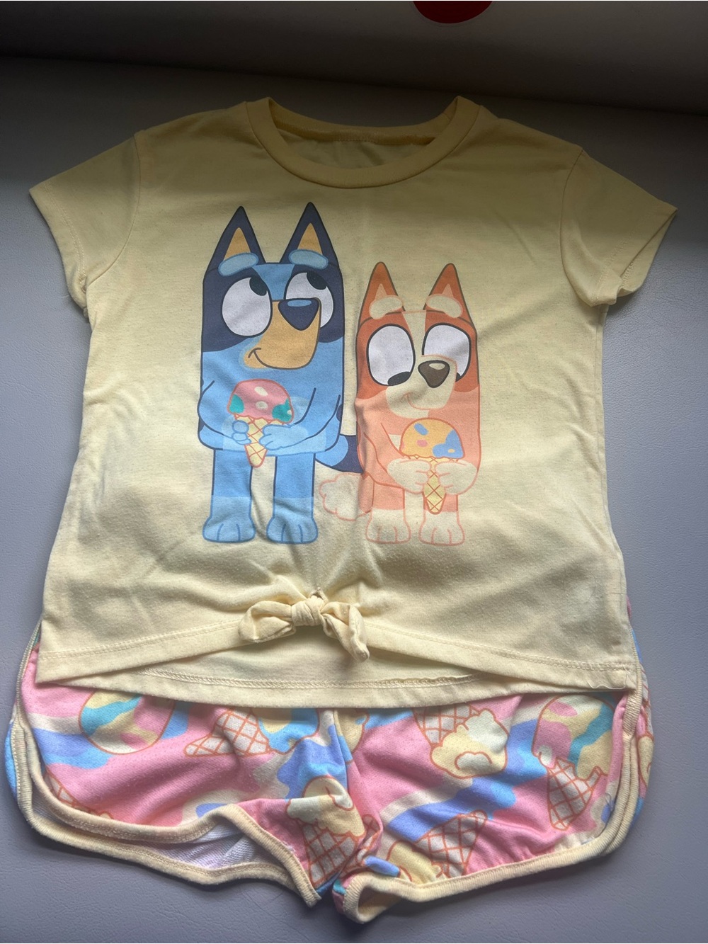 Bluey & Bingo Ice Cream Kids Set - Super Cute! Tshirt & shorts!
